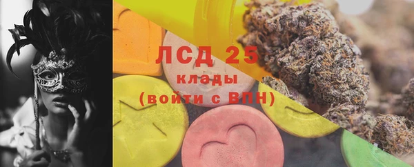 прущие грибы Ельня
