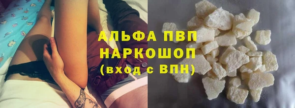 прущие грибы Ельня