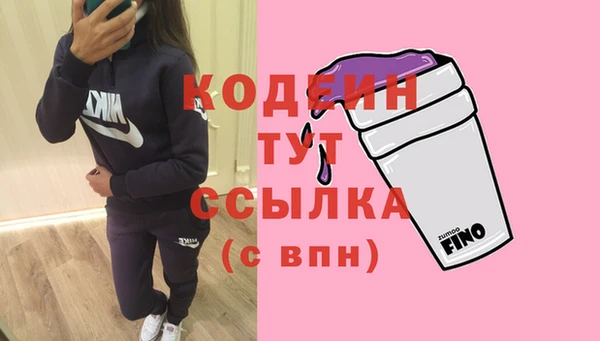 стаф Елизово