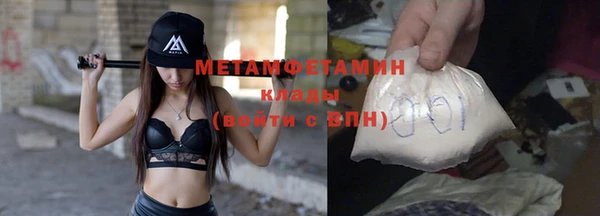 прущие грибы Ельня