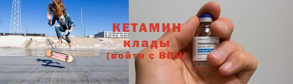 прущие грибы Ельня