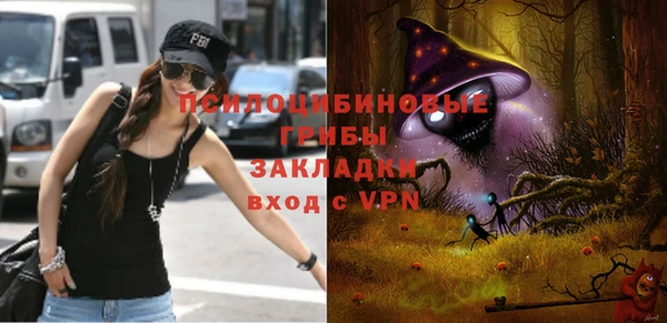 стаф Елизово