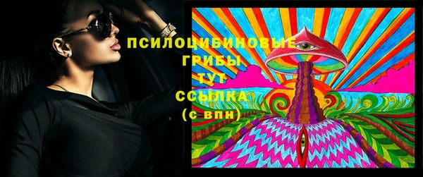 прущие грибы Ельня