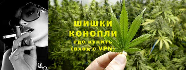 прущие грибы Ельня