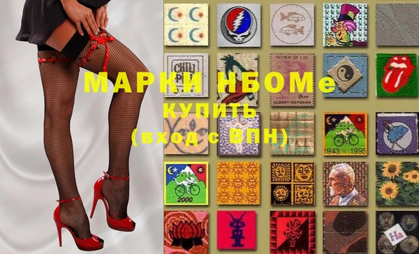 прущие грибы Ельня