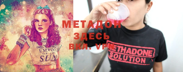 прущие грибы Ельня