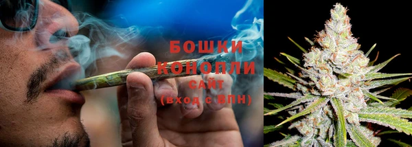 гашик Нефтегорск