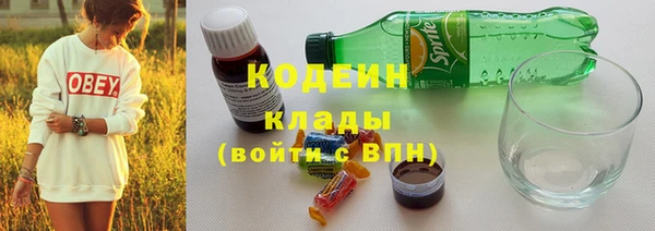 прущие грибы Ельня