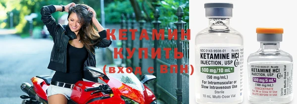 прущие грибы Ельня