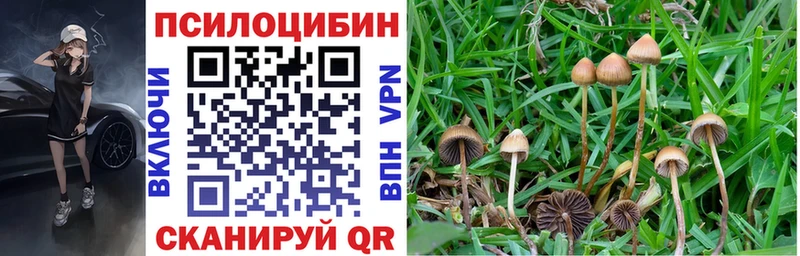 Псилоцибиновые грибы прущие грибы  Купить где  Камень-на-Оби 