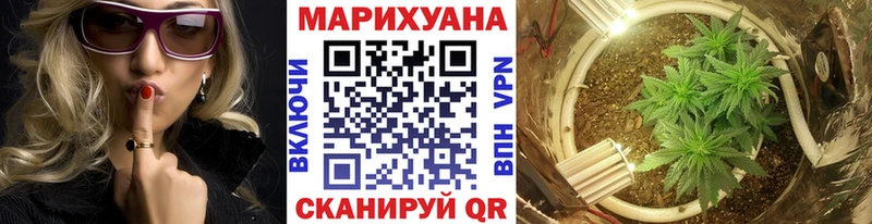 Марихуана семена  Купить  Камень-на-Оби 